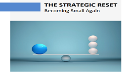 THE STRATEGIC RESET